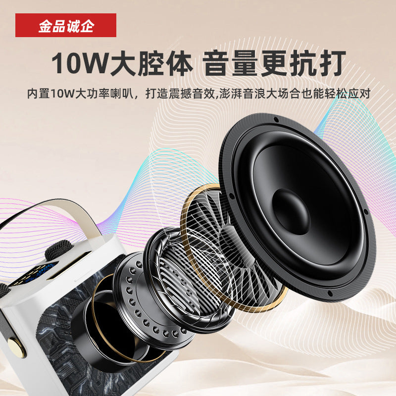 S882 Bluetooth Karaoke Speaker