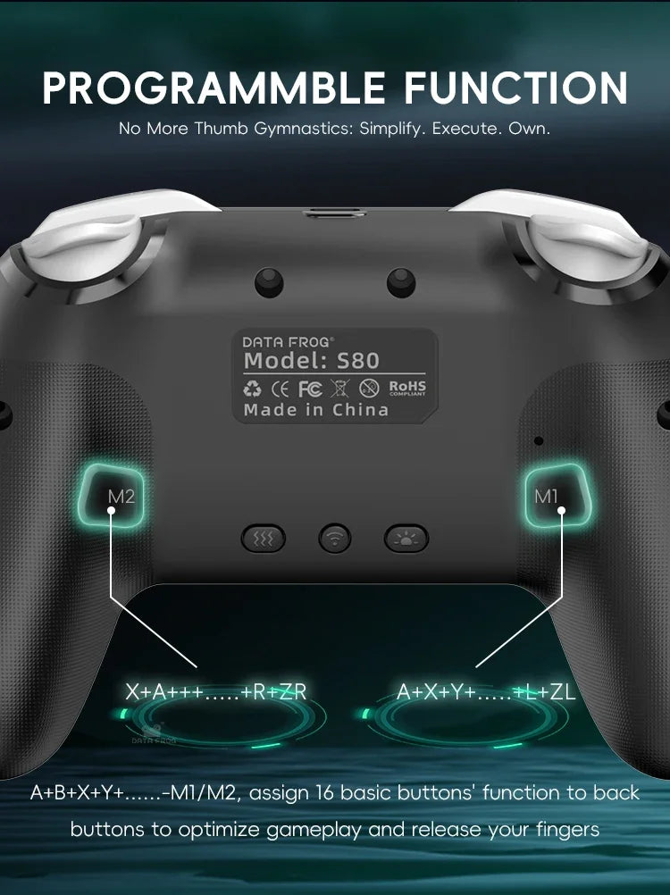 DATA FROG RGB Wireless Controller for Switch & PC